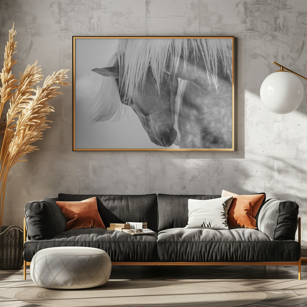Haflinger Portrait II | Poster
