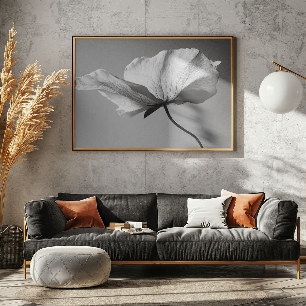 Delicate Petal Dance | Poster
