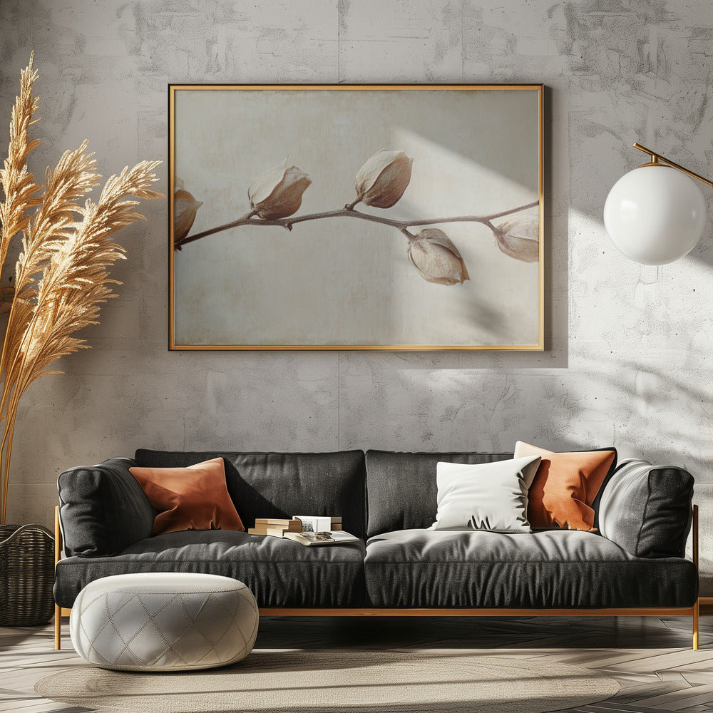 Faded Elegance | Poster