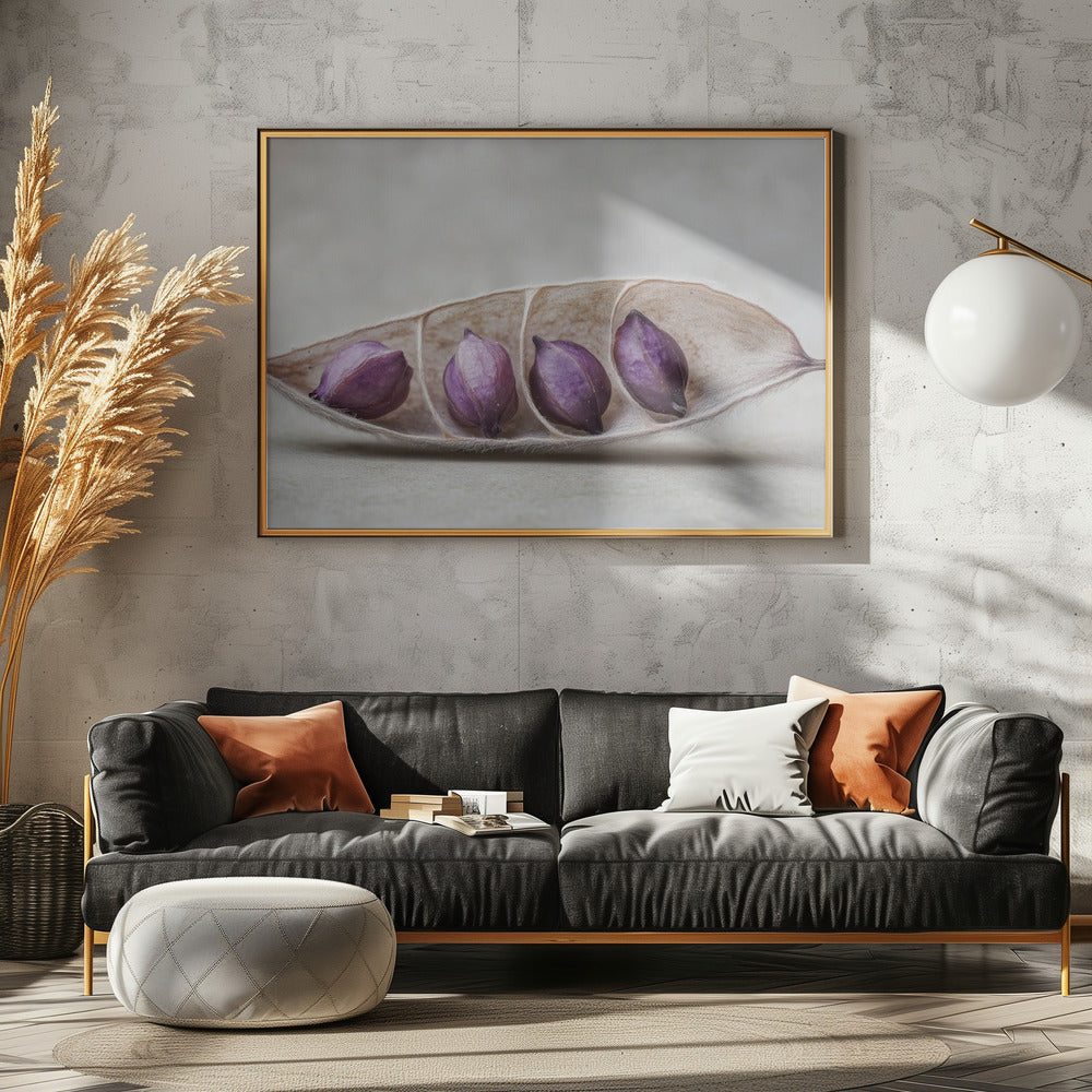 Lila Pod Harmony | Leinwand