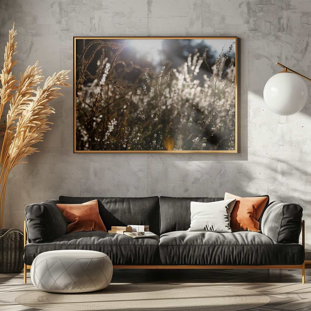 Warmes Winterlicht 7 | Poster
