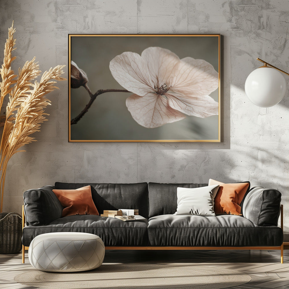 Zarte Blüte | Leinwand