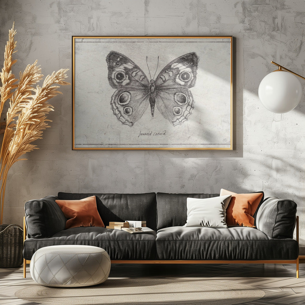 Schmetterling präsentiert komplizierte Flügel | Leinwand