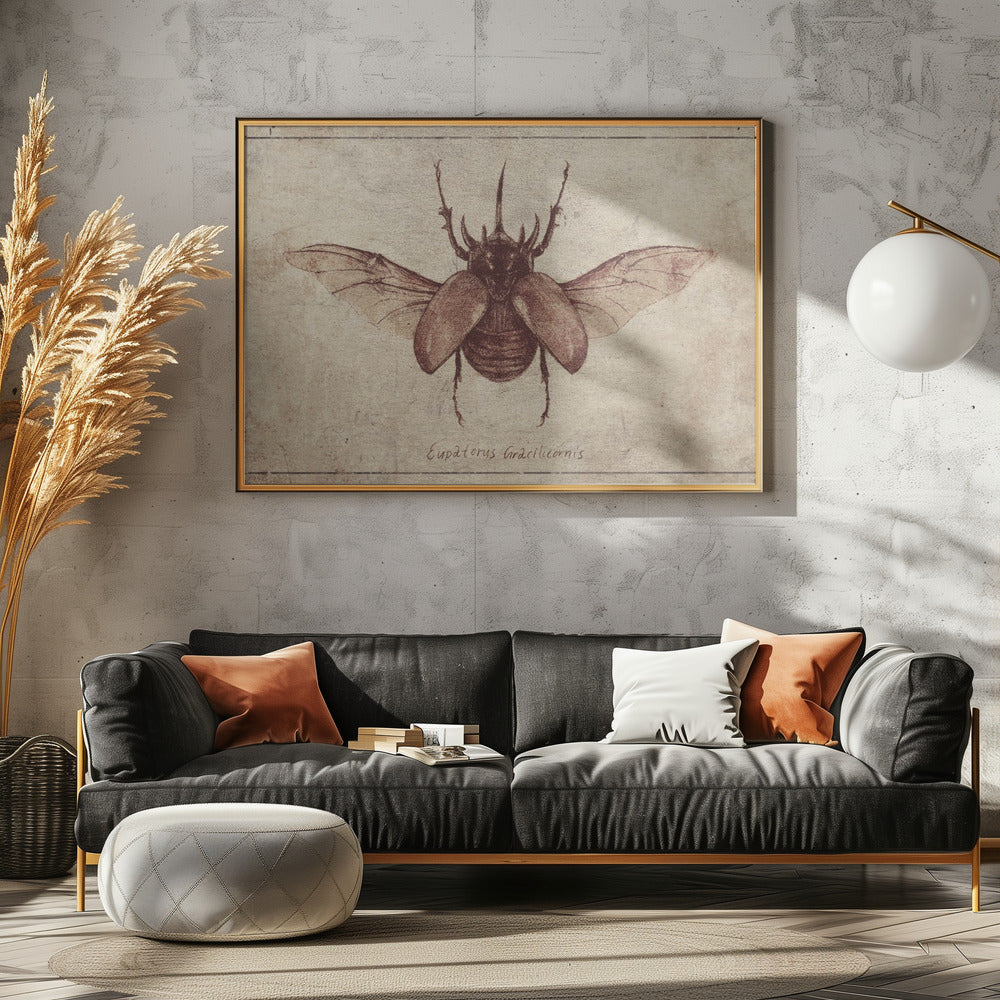 Eupatorus Gracilicornis Kopie | Leinwand