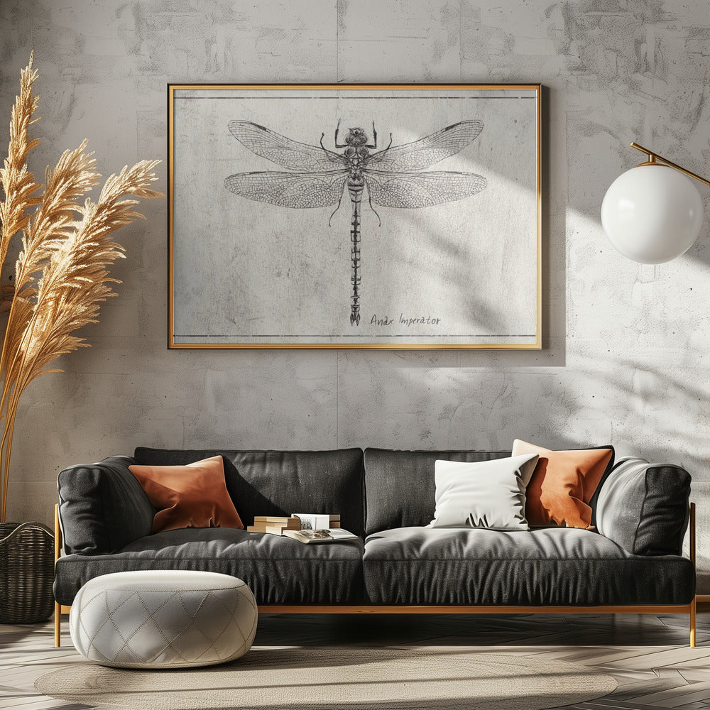 Majestät im Flug Anax Imperator | Leinwand