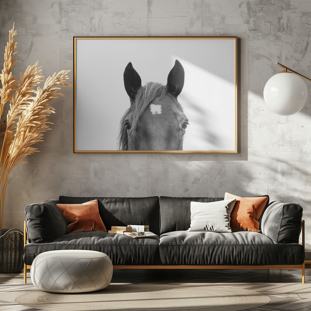 Guckendes Pferd | Leinwand