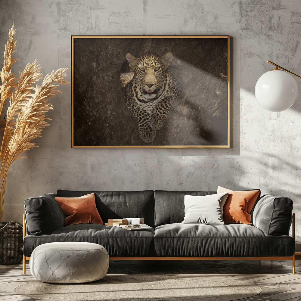 Leopard Resting on a Tree at Masai Mara | Canvas