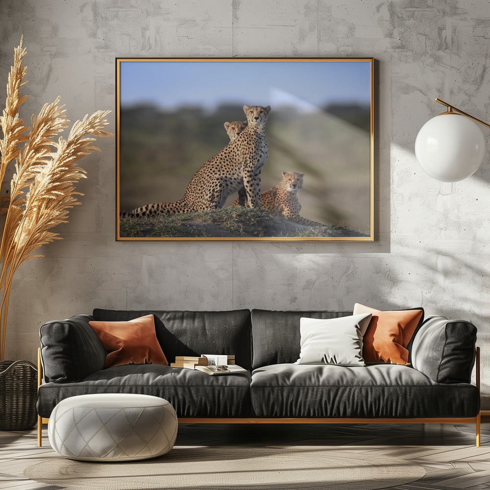 Gepardenfamilie | Leinwand