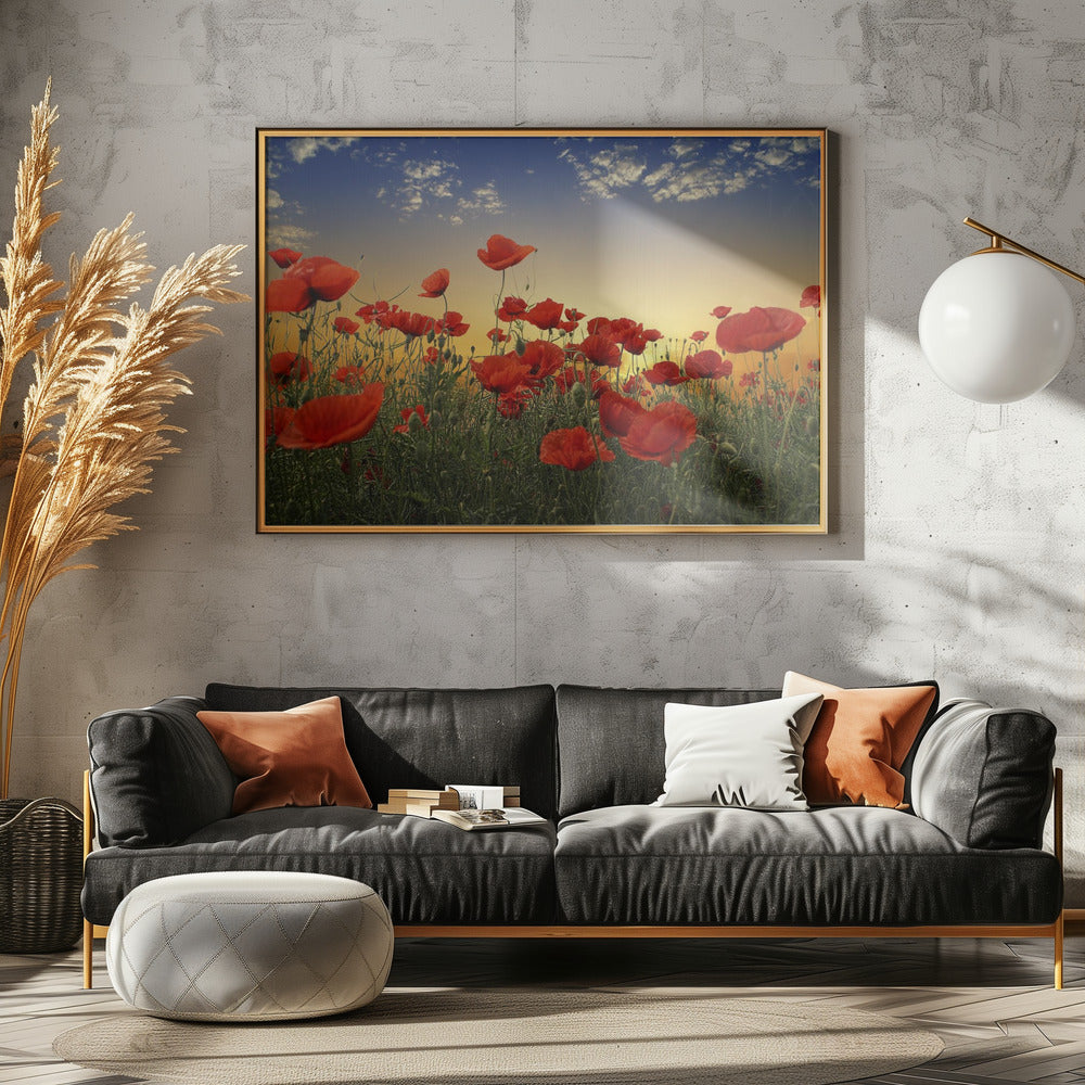 Mohnblumen | Leinwand