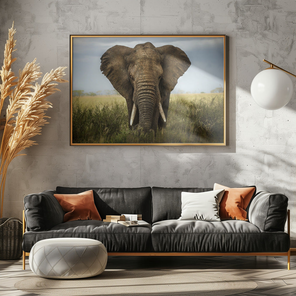 Begegnungen in der Serengeti | Leinwand