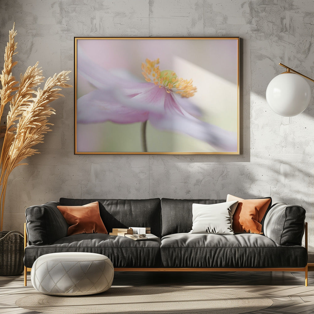 Japanische Anemone | Leinwand