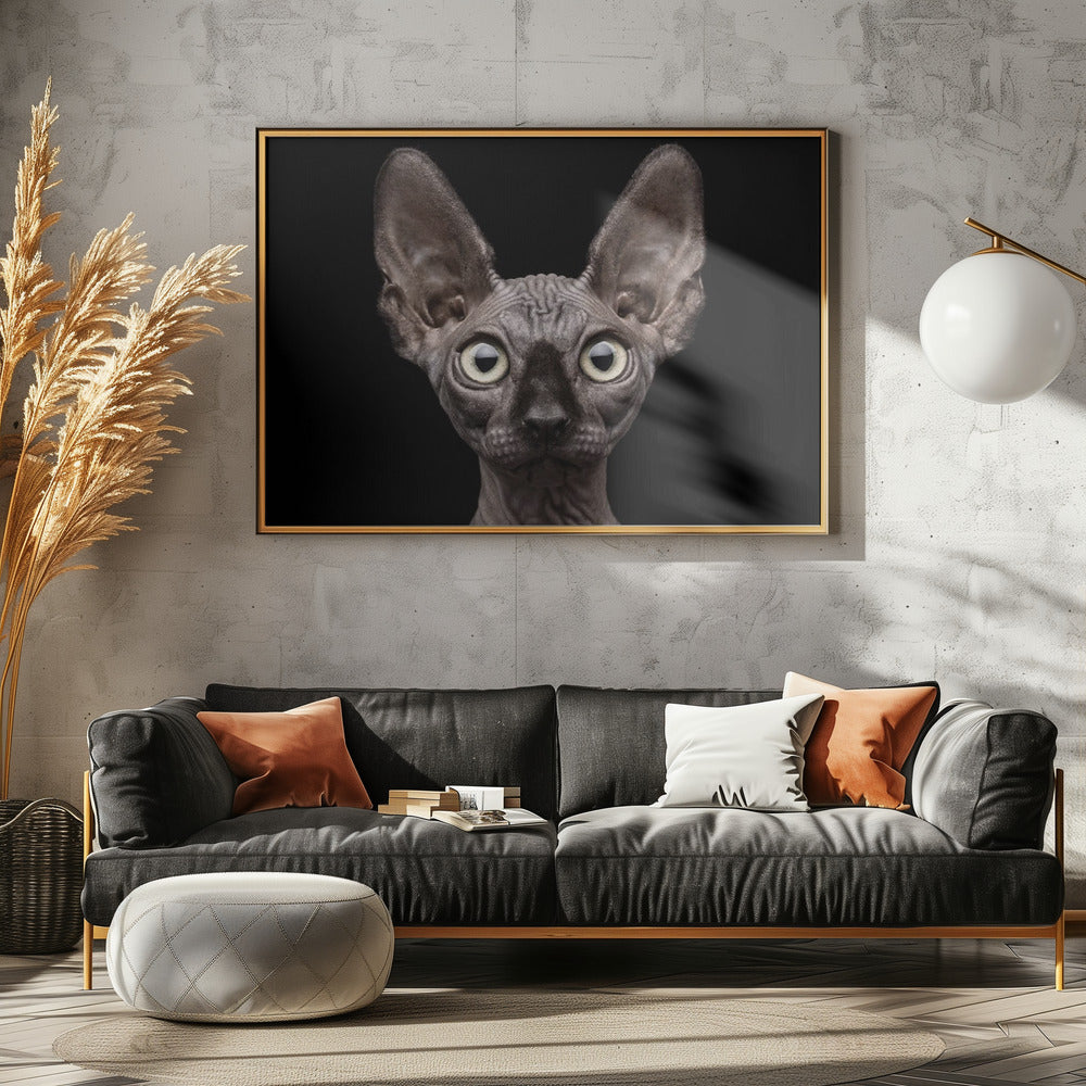 Sphynx Katze | Leinwand