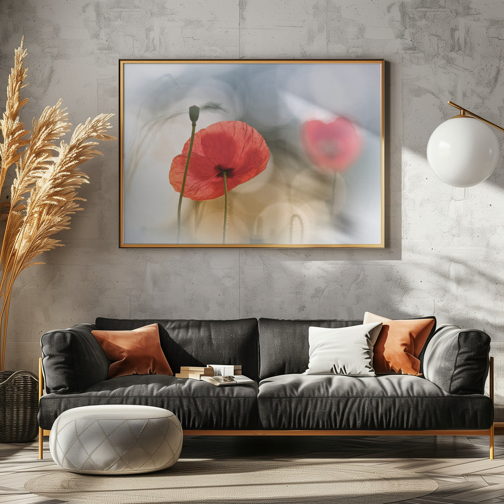 Morgenmohn | Leinwand