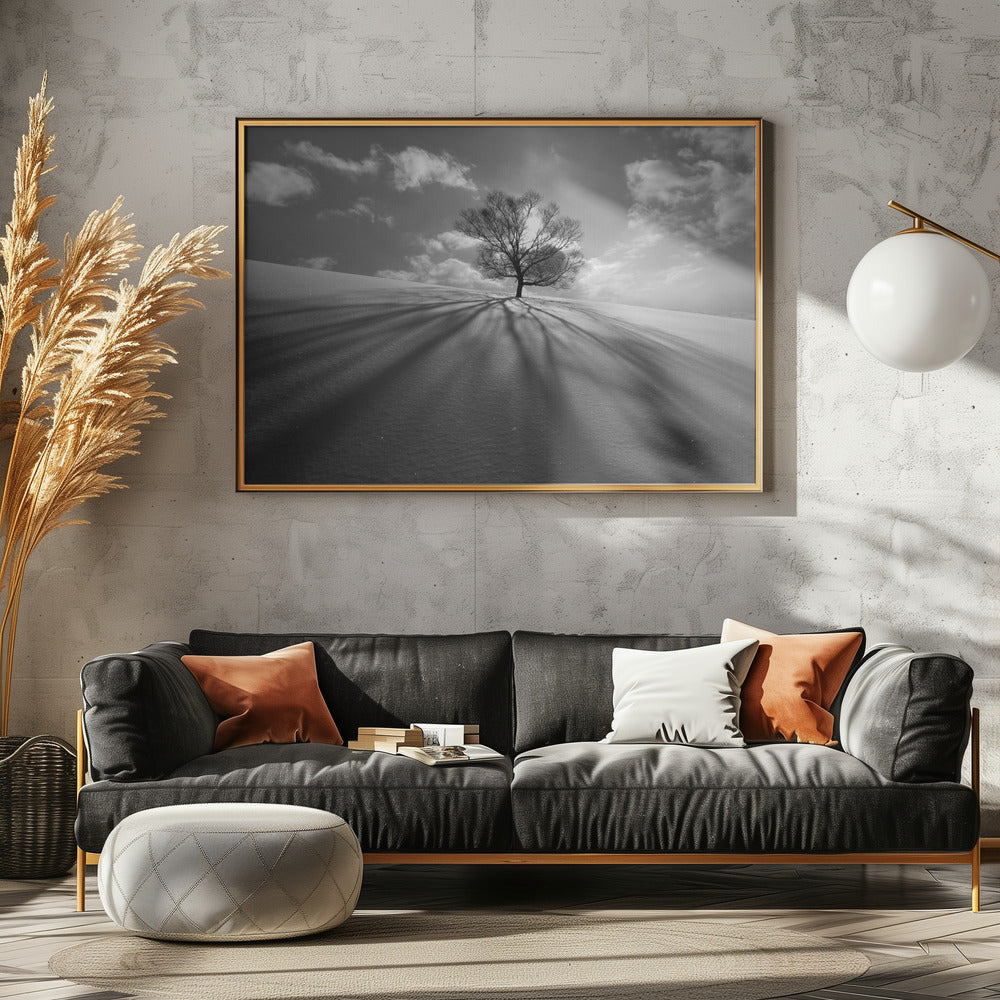 Baumschatten | Poster