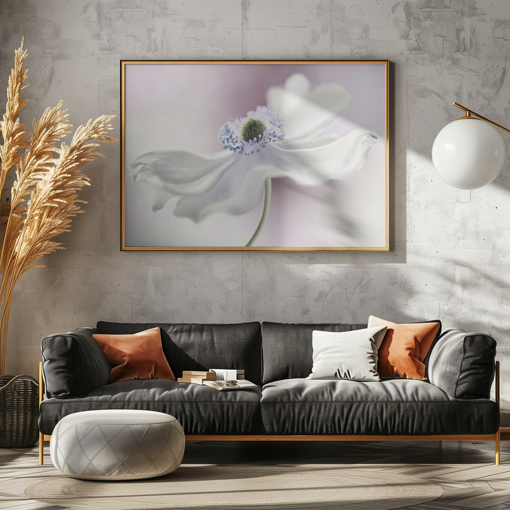 Anemonenbrise | Leinwand
