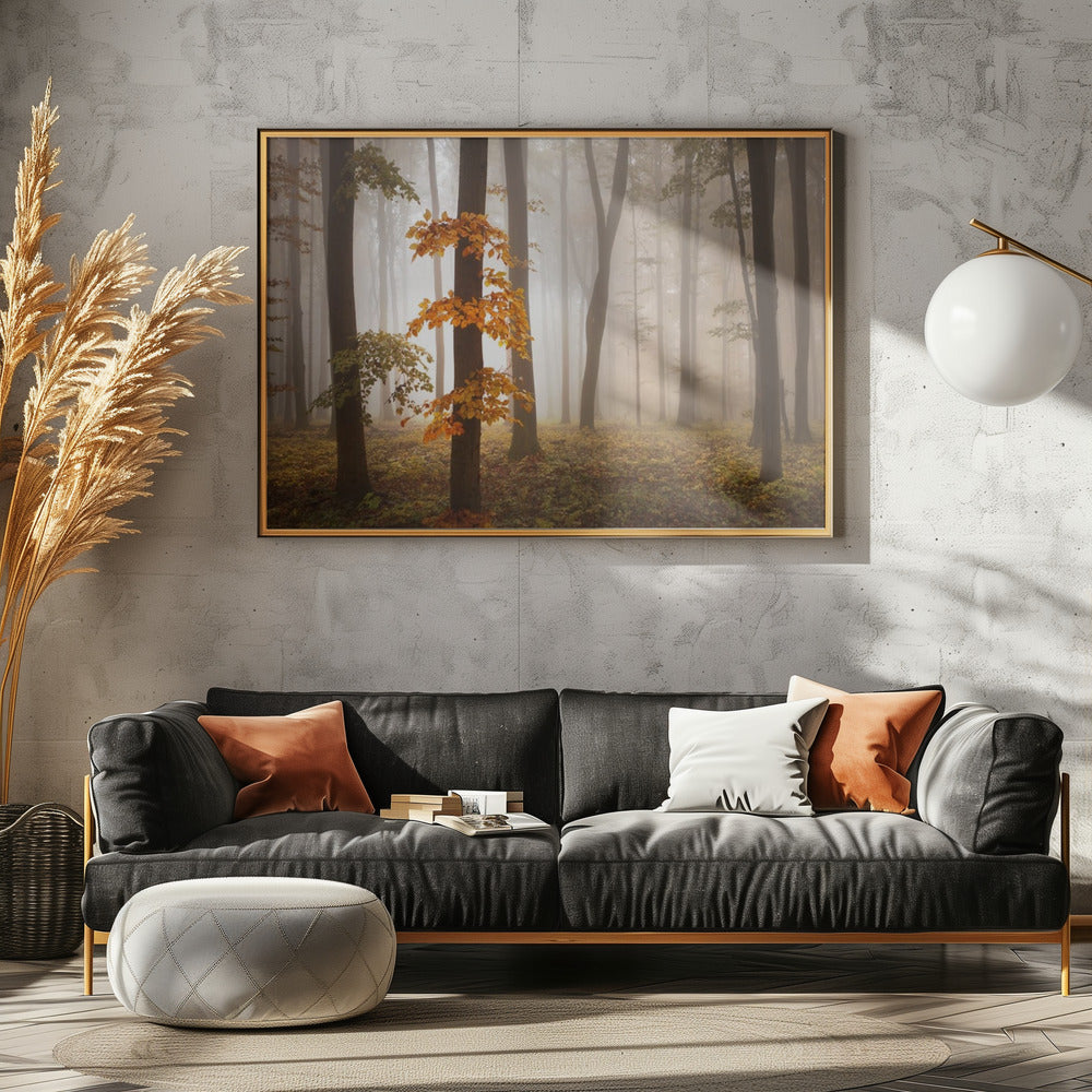 Im Novemberlicht | Poster