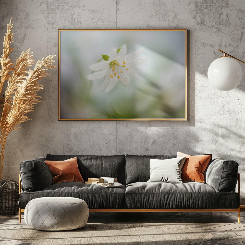 Frühlingssternmiere | Leinwand