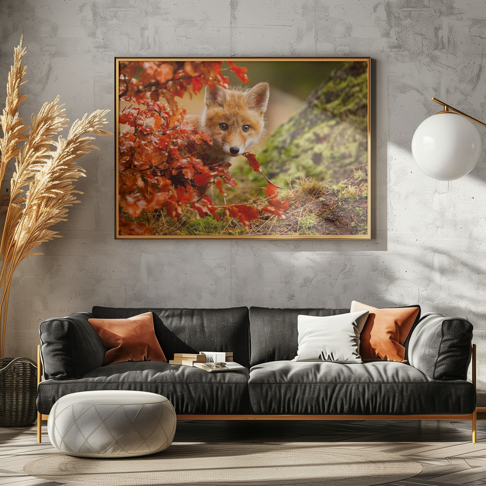 Fuchs | Leinwand