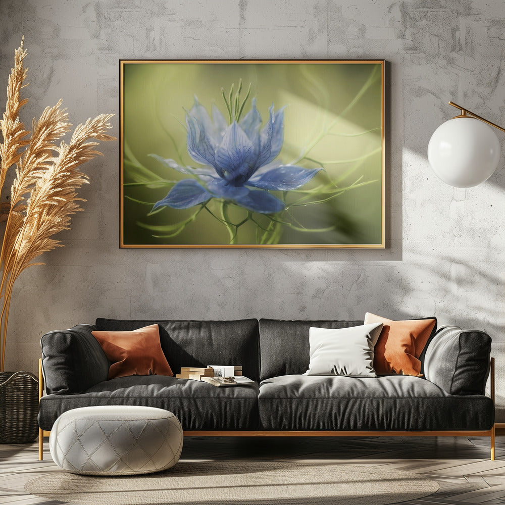 Nigella | Leinwand