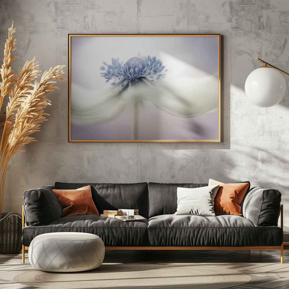 Anemone | Poster