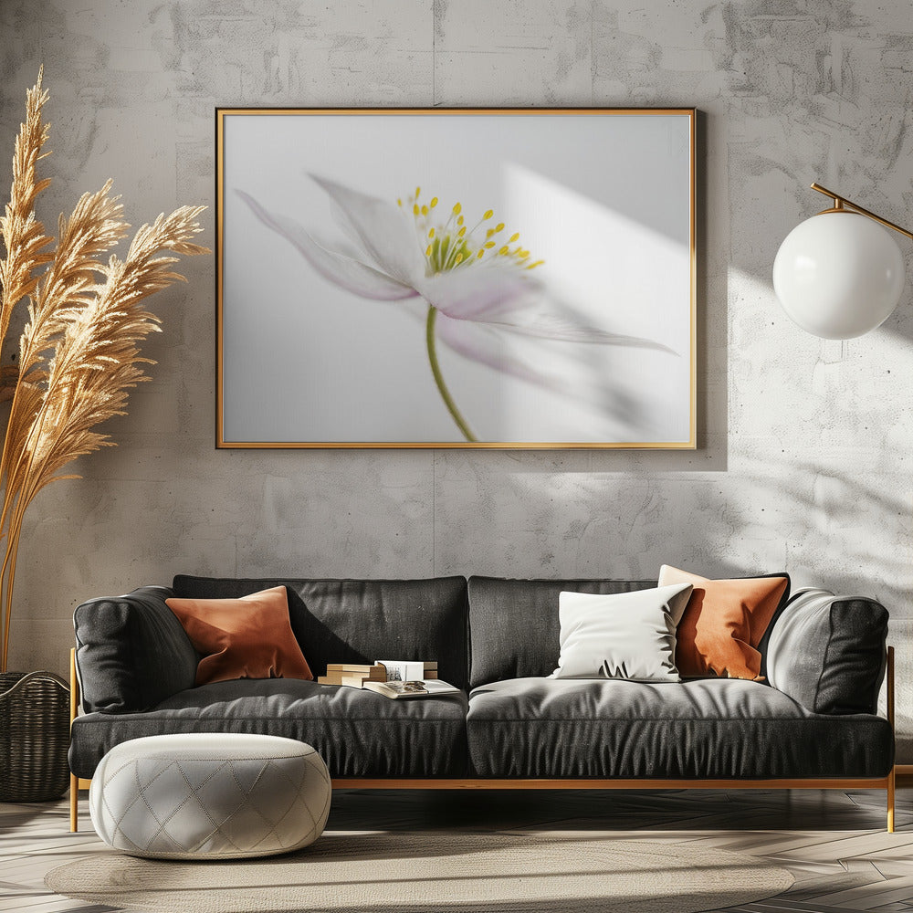 Nemorosa** | Leinwand