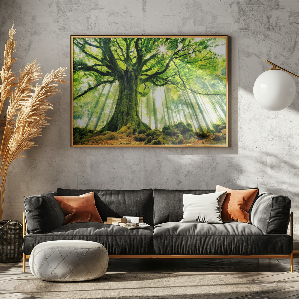 Ponthus' Buche | Poster