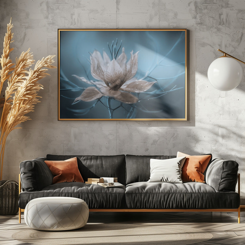 *Nigella* | Leinwand