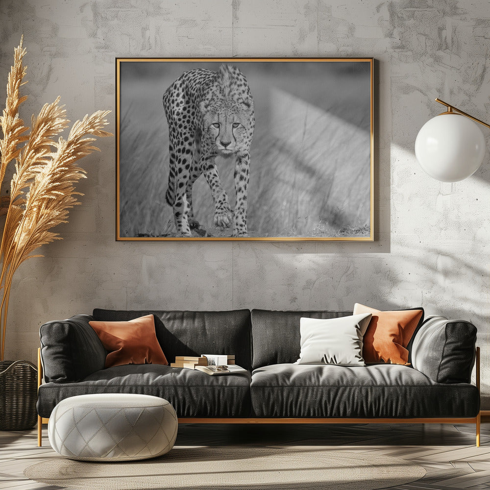 Konzentriertes Raubtier | Poster