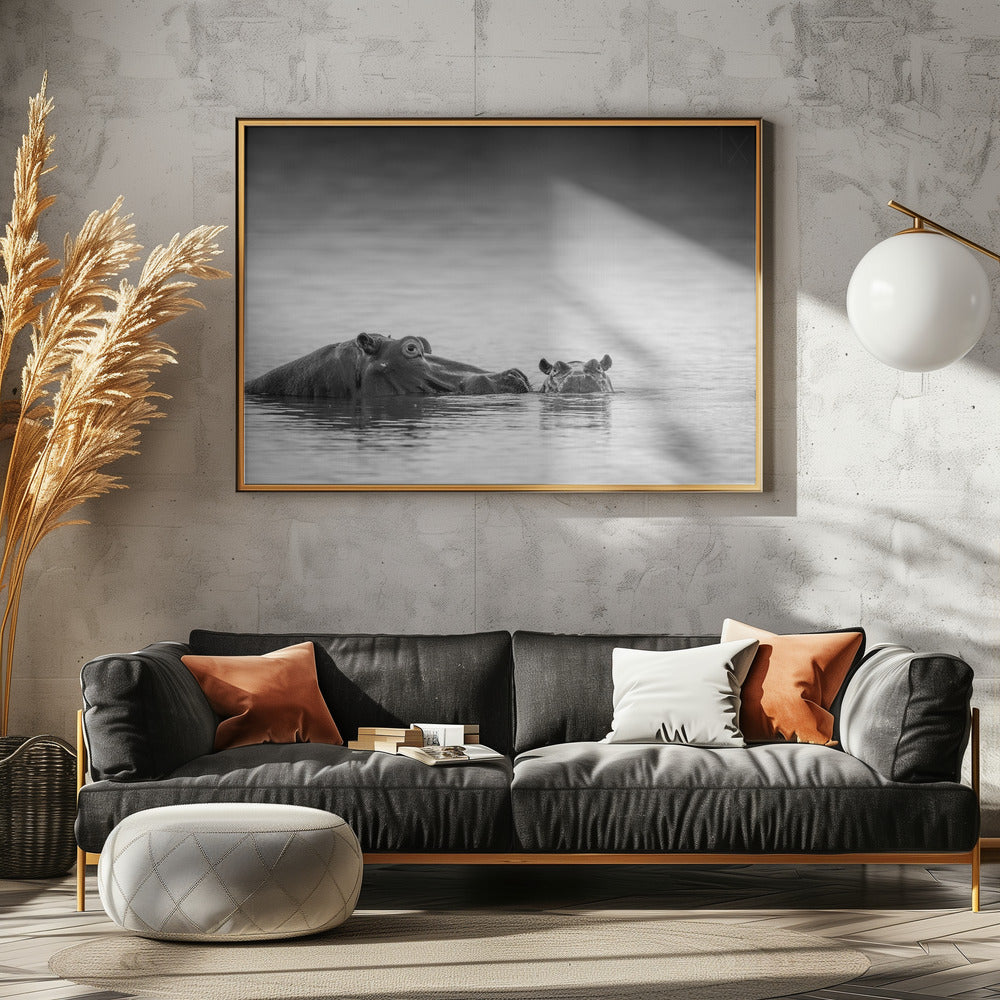 Eye level | Canvas