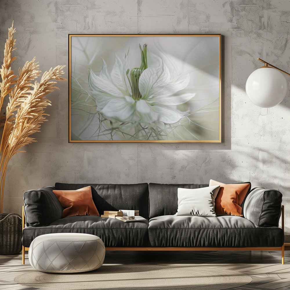 Nigella | Leinwand