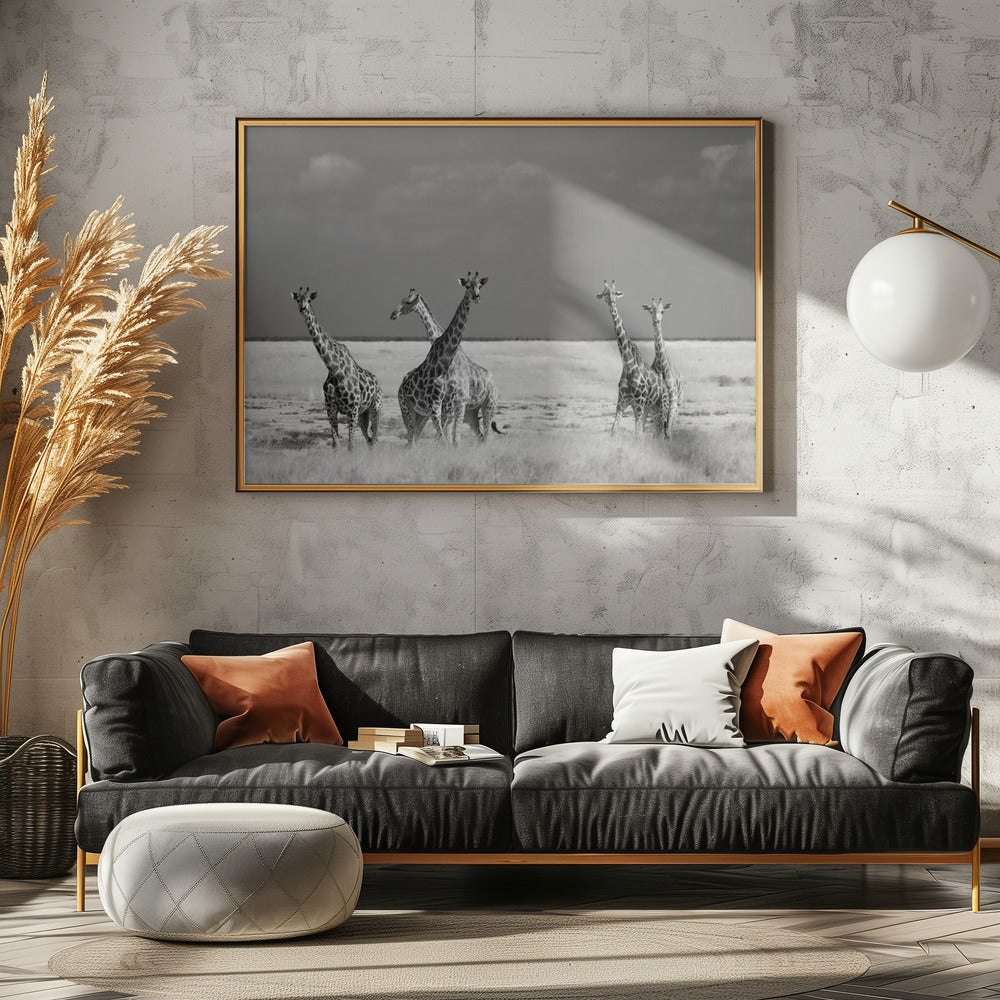 Schau mal, Mädchen, seltsame Tiere | Poster