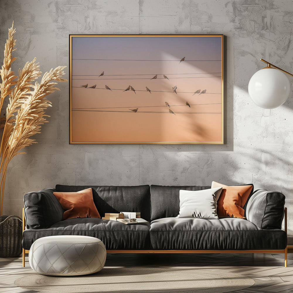 Musik des Lichts | Poster