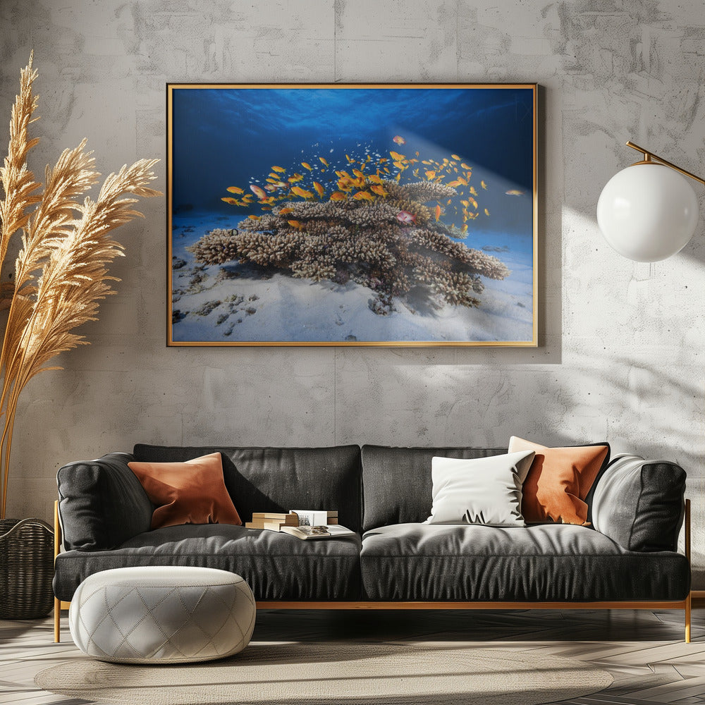 Meereslebewesen | Leinwand