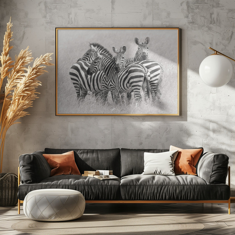 Zebras | Leinwand