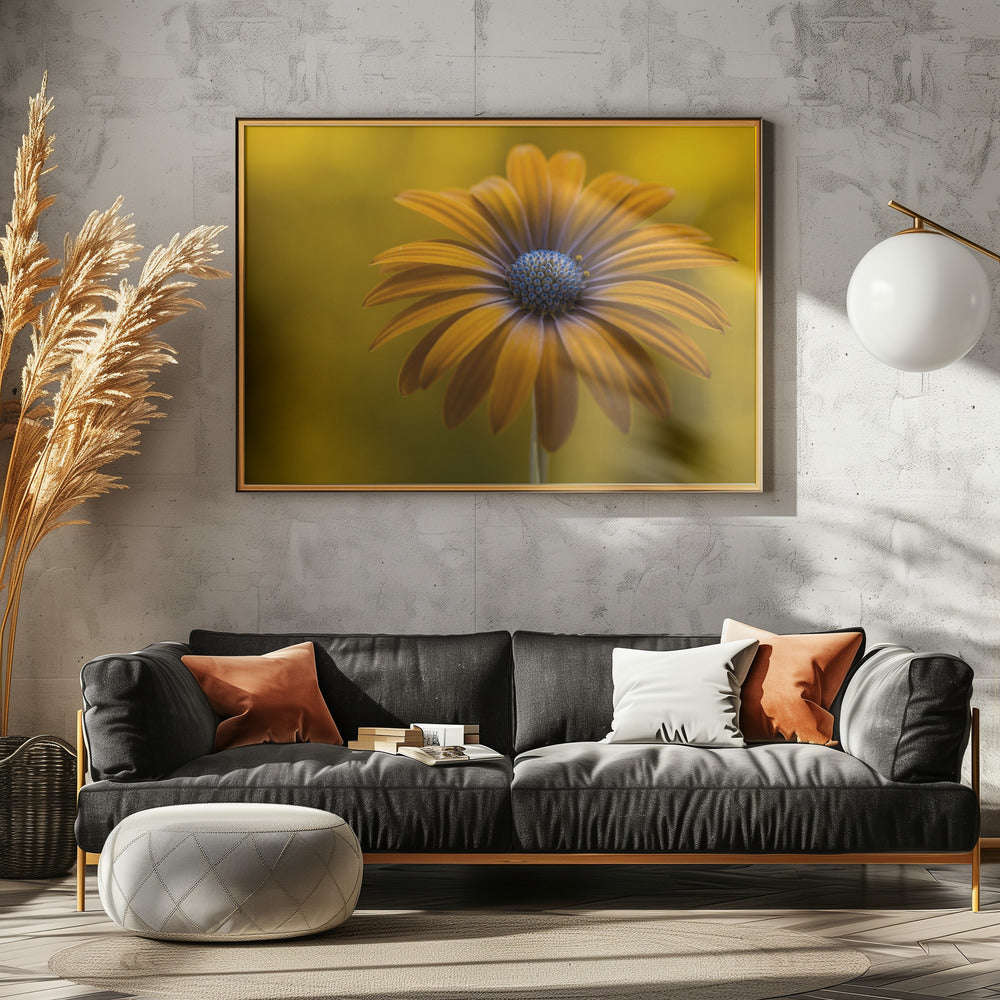 Sunshine Daisy | Canvas
