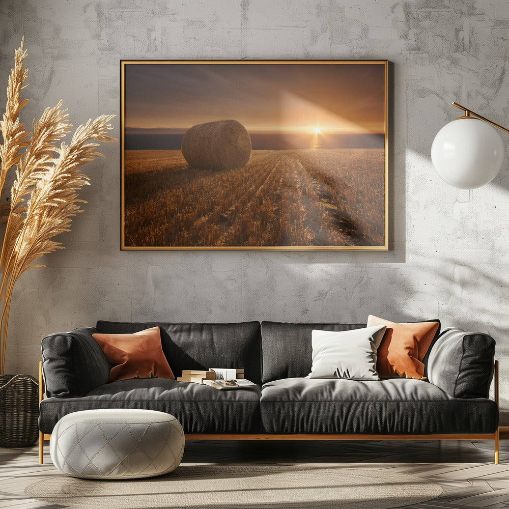 Goldernte | Poster