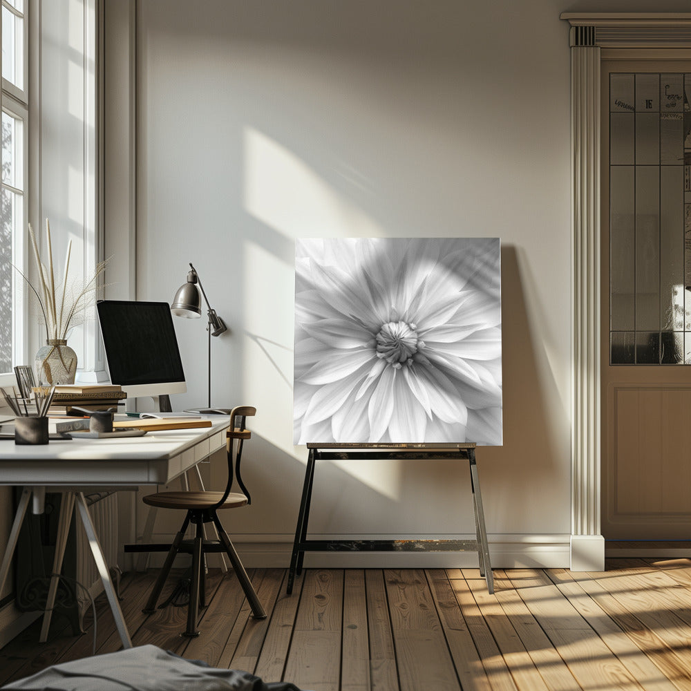 Hamari Gold in Monochrom | Leinwand