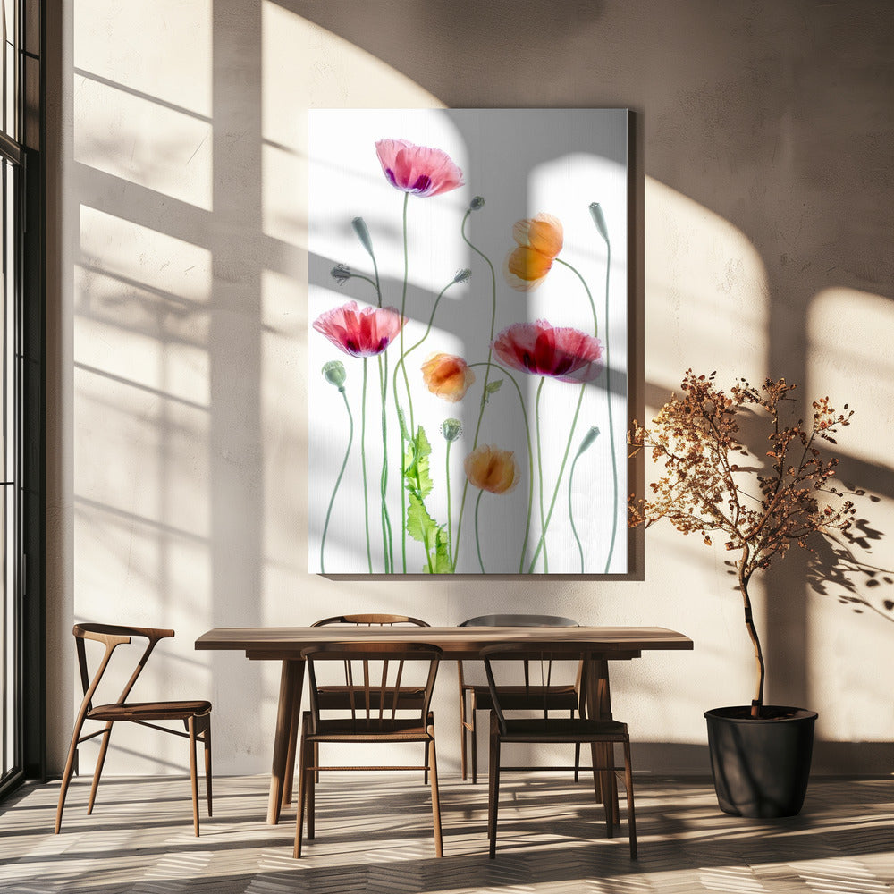 Mohnblumen | Leinwand