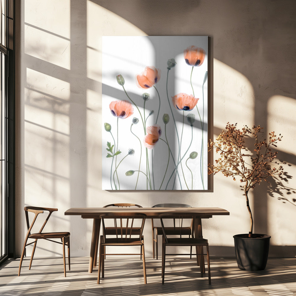 Mohnblumen | Leinwand