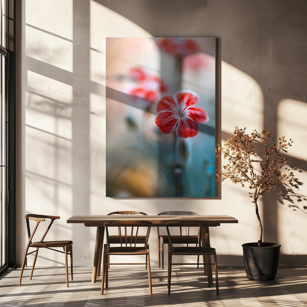 Dianthus | Leinwand