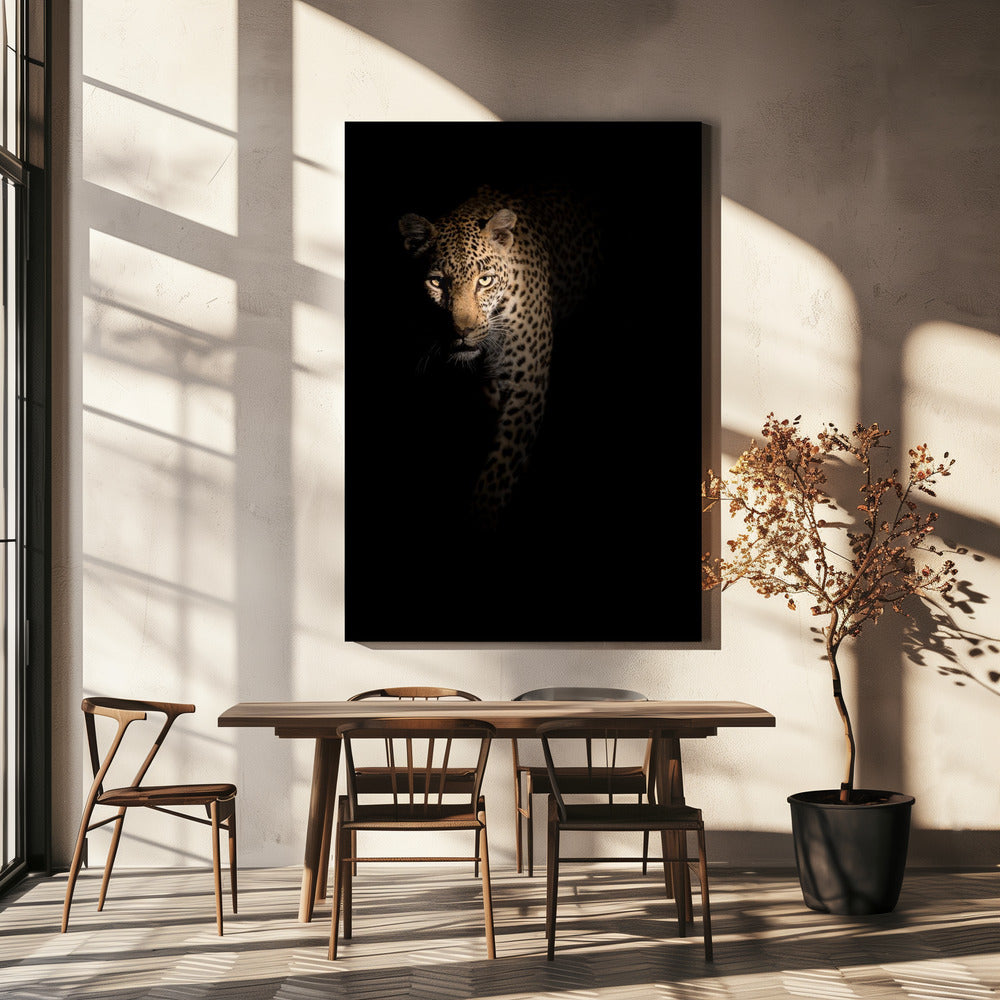 Out of the darkness | Canvas