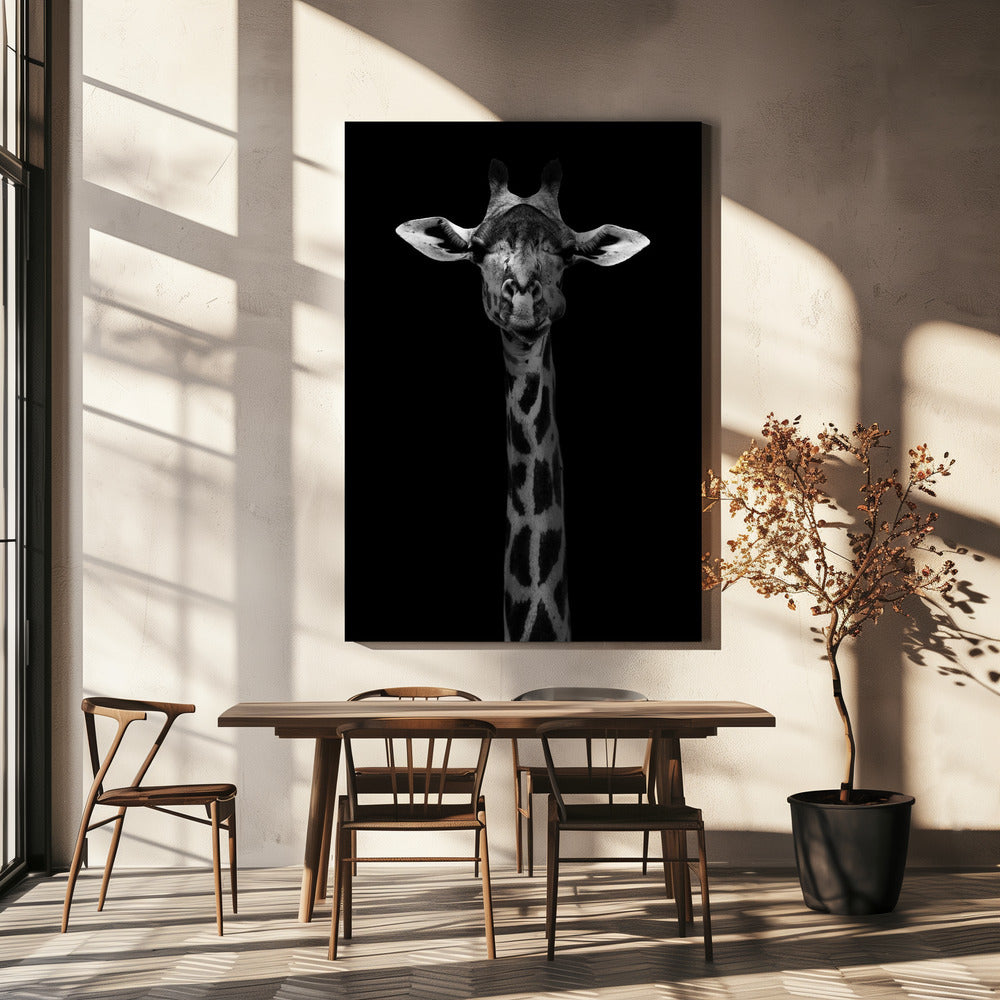 Giraffenportrait | Leinwand