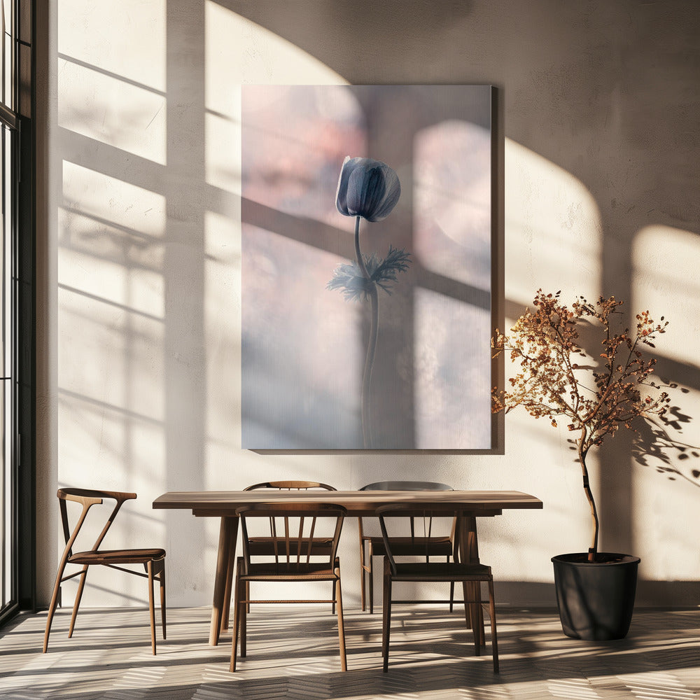 Soliste | Leinwand