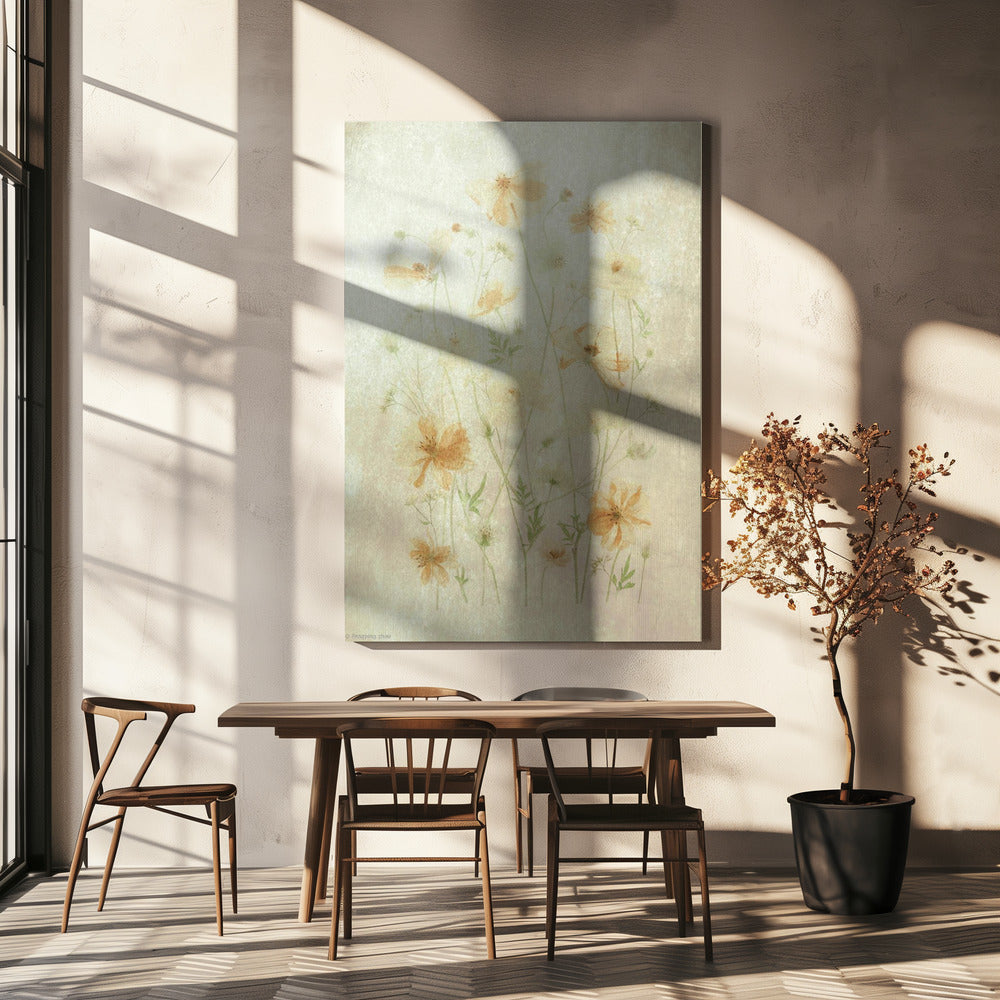 Yellow Cosmos | Canvas