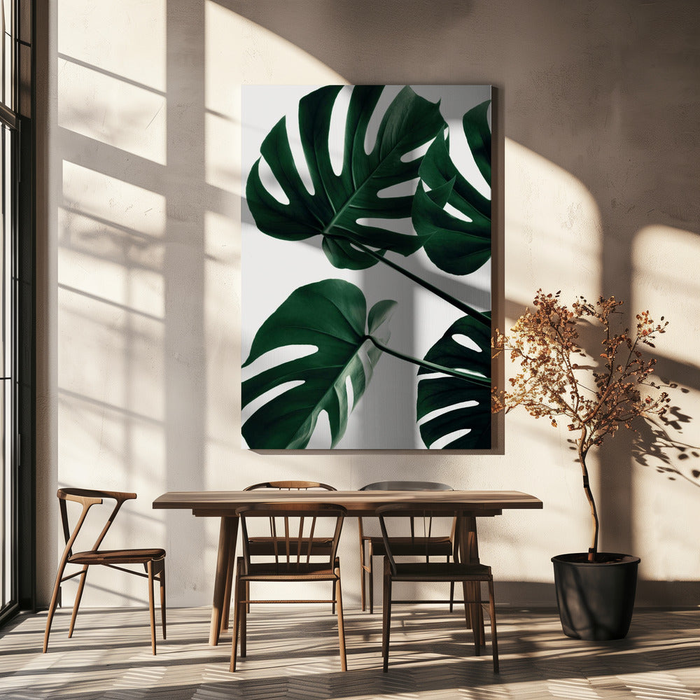 Monstera Natur 43 | Leinwand