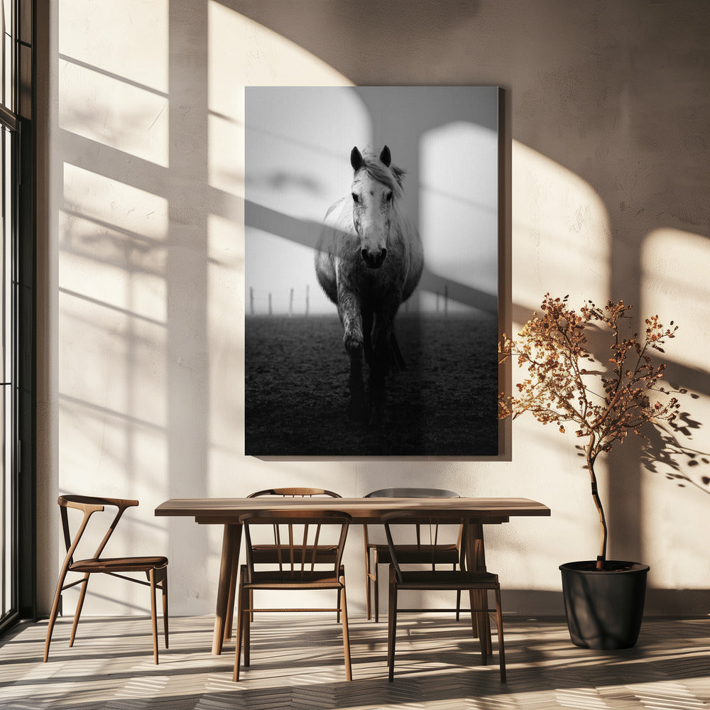 Selbstvertrauen | Leinwand