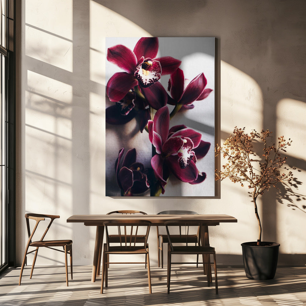 Orchideen-Eleganz | Leinwand
