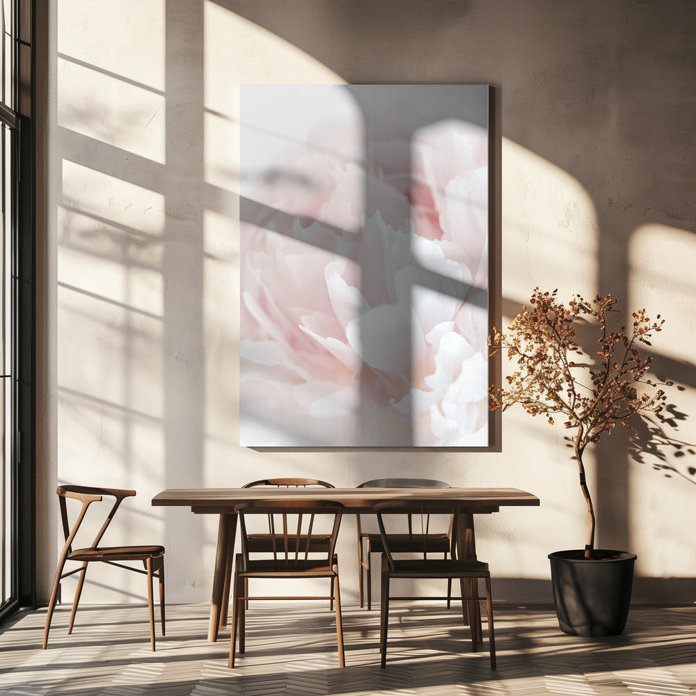 Peony 05 | Canvas