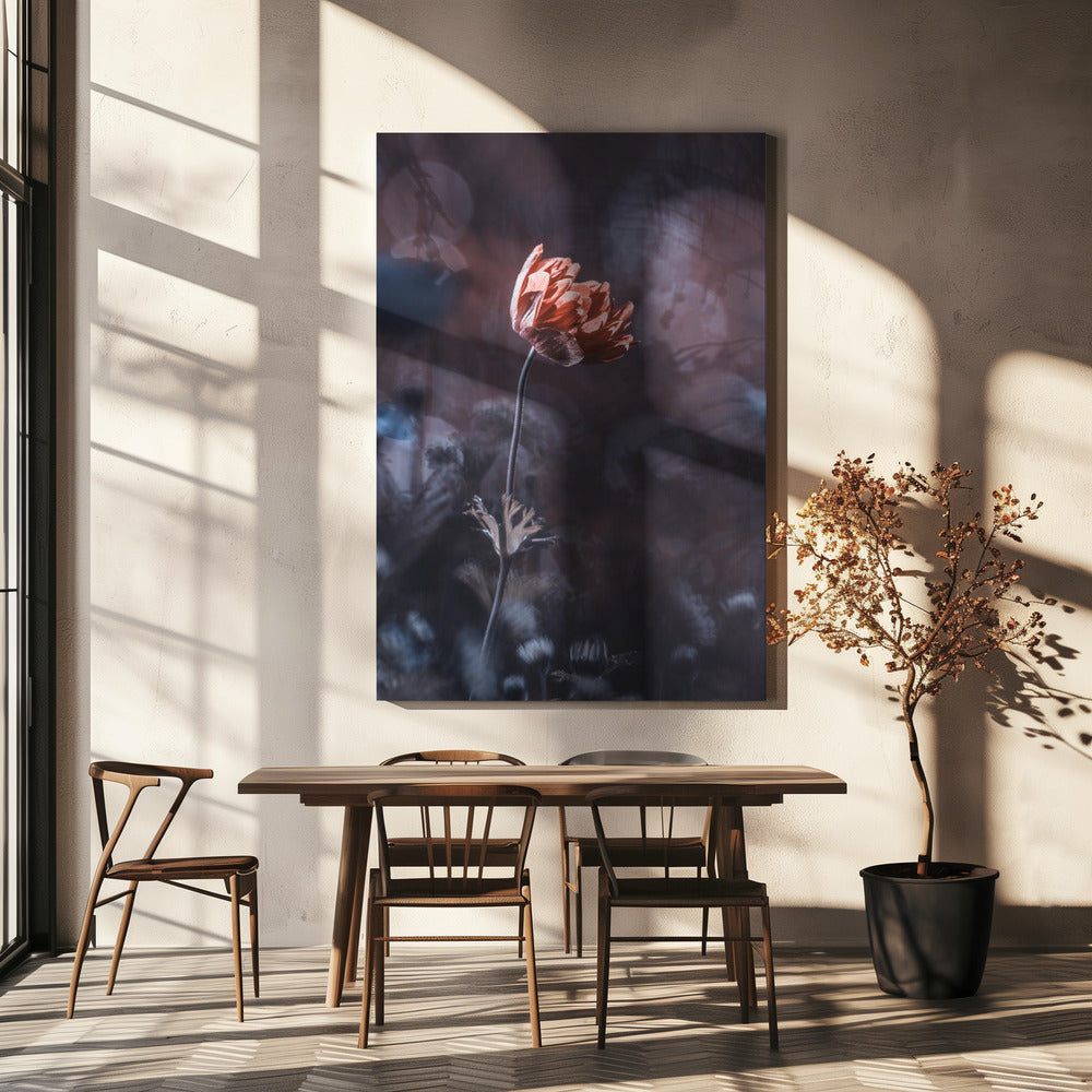 Eleganz | Leinwand