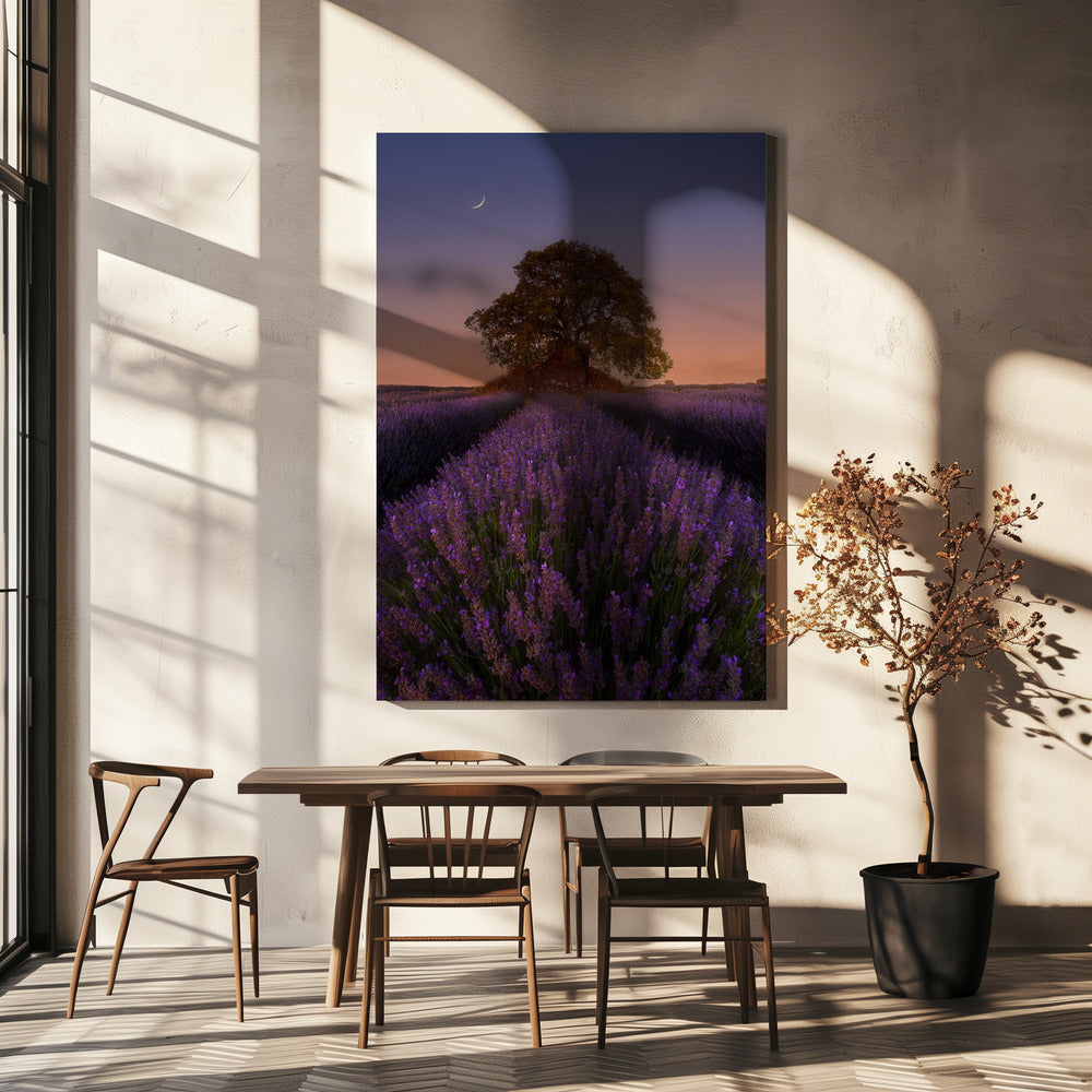 Lavendel und Mond | Leinwand
